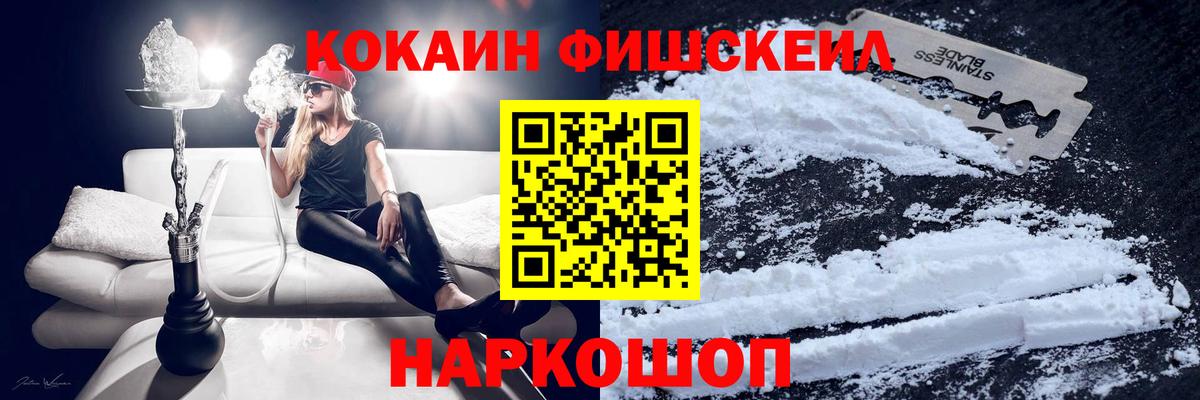 Cocaine Fish Scale Кольчугино