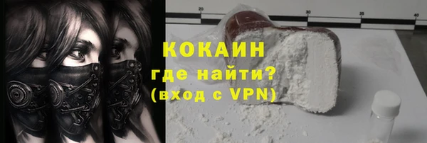 дживик Козельск