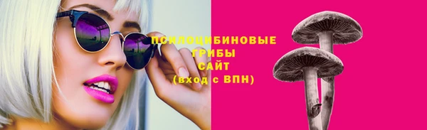 дживик Козельск