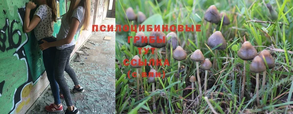 крисы Костерёво