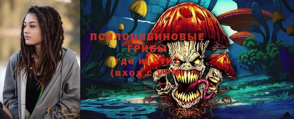 кристаллы Козловка