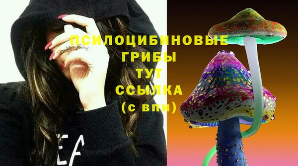 дмт Осташков