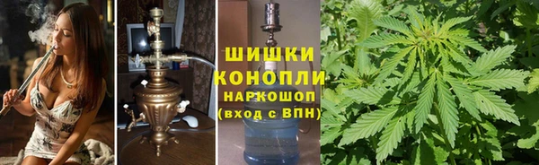 дживик Козельск