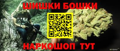 гашик Жуковский