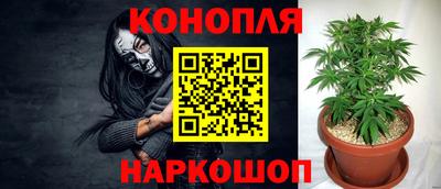гашик Жуковский