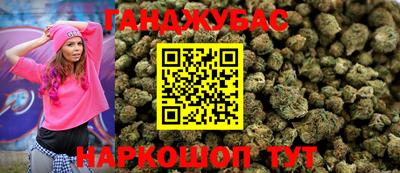 индика Будённовск