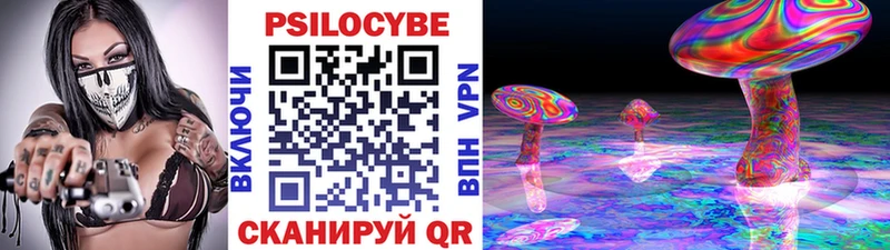Галлюциногенные грибы Magic Shrooms купить закладку Кольчугино