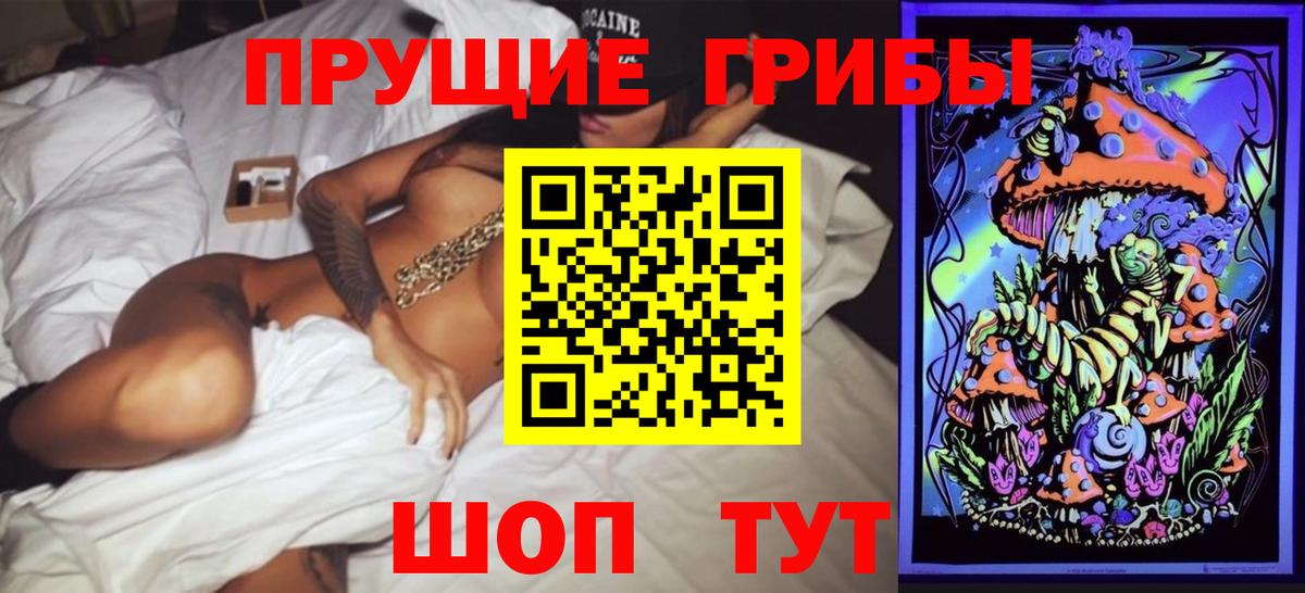 как найти закладки  Кольчугино  Галлюциногенные грибы Cubensis 