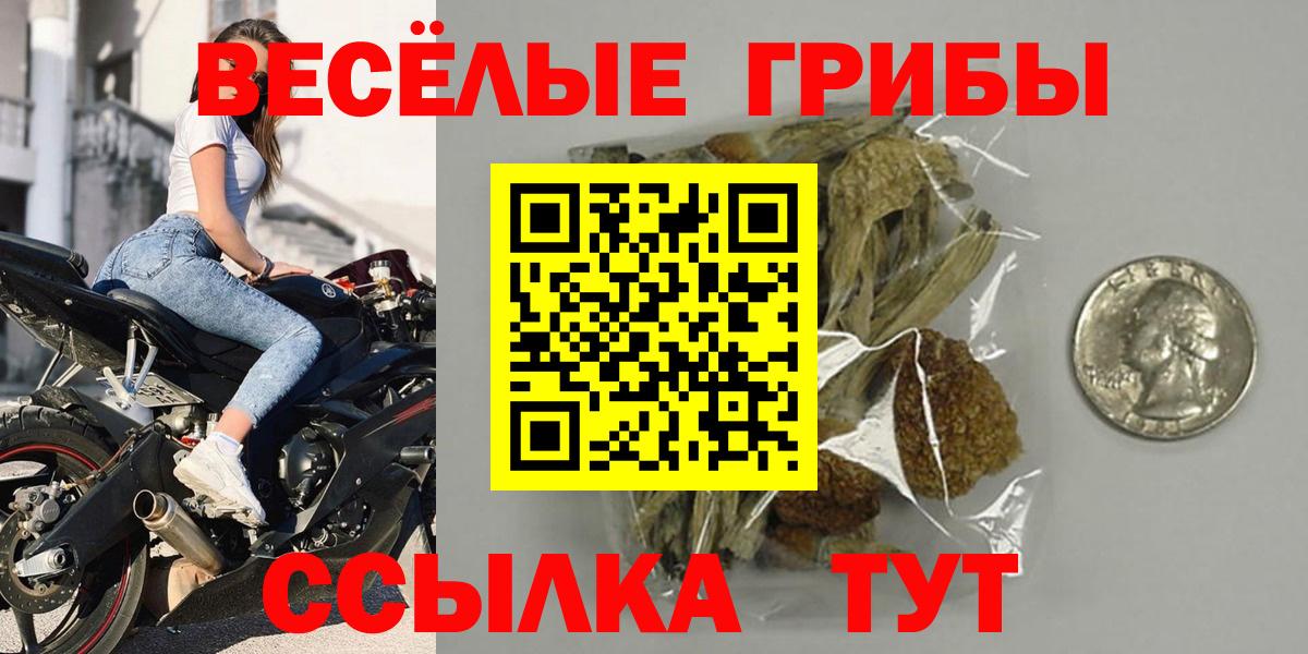 Кольчугино  Псилоцибиновые грибы GOLDEN TEACHER  Вход с VPN 